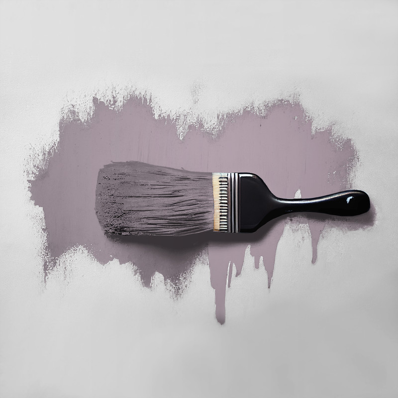 AS Creation A.S. Création - Wandfarbe Violett 