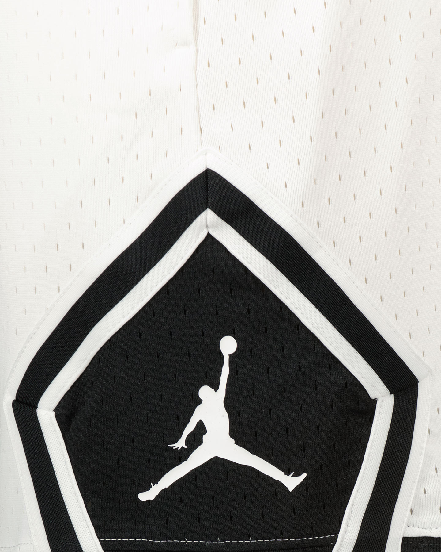 Pánske nohavice Nike Jordan Sport M DX1487-100