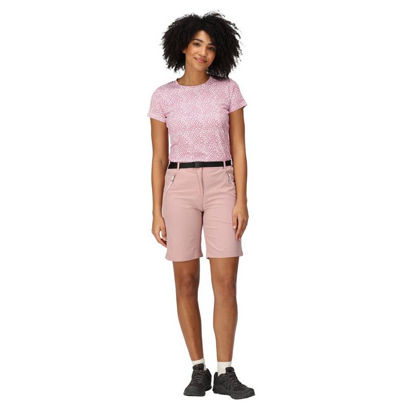 Regatta Xert It Shorts Damen