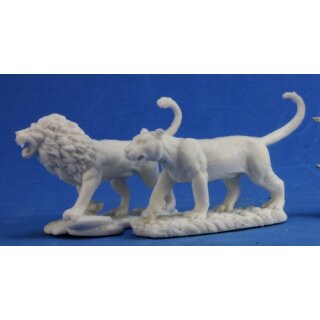 Lions (2)