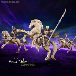 Vestal Riders Command Group (DE-F)