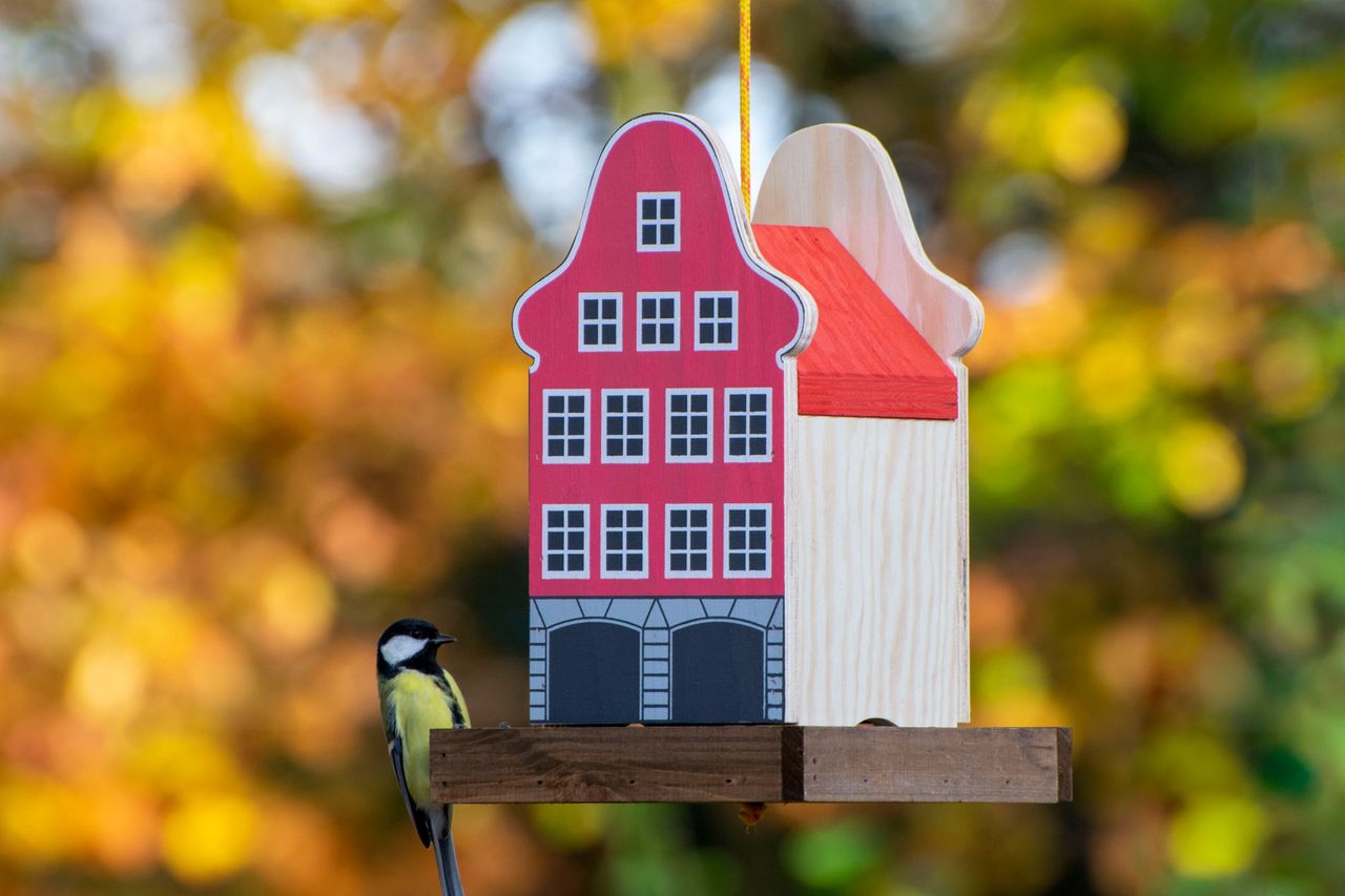 dobar Buntes Deko-Vogelhaus 