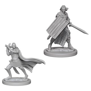 Elf Male Paladin: Pathfinder Deep Cuts Unpainted Minis