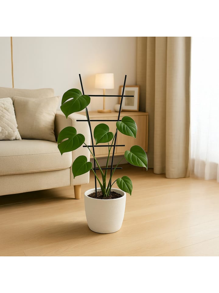relaxdays 2 x Pflanzenstütze in Schwarz - (B)35 x (H)79 cm günstig kaufen onesize