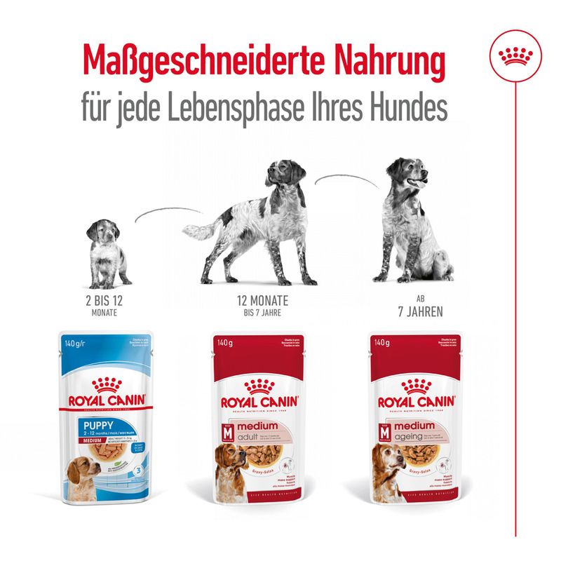 Royal Canin Medium Ageing in Soße