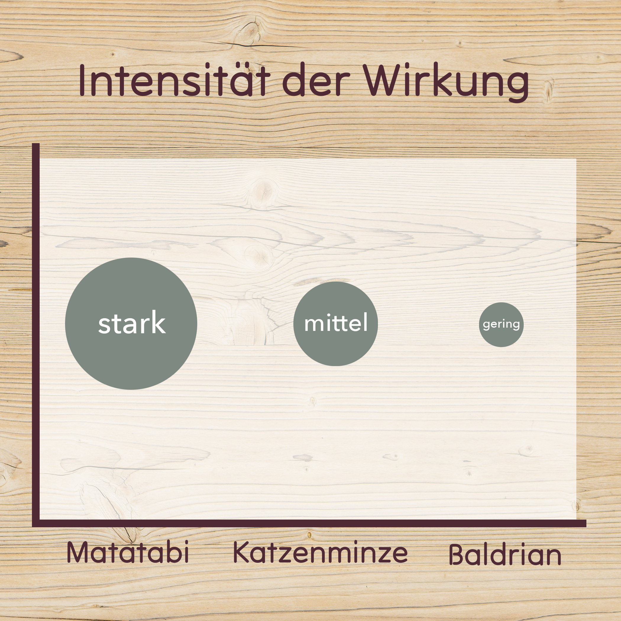 LEO LÖWENKATZ weiteres Katzenspielzeug LEO LÖWENKATZ 5 Matatabi Sticks. Rein natürlich von der Silberrebe (Silvervine)