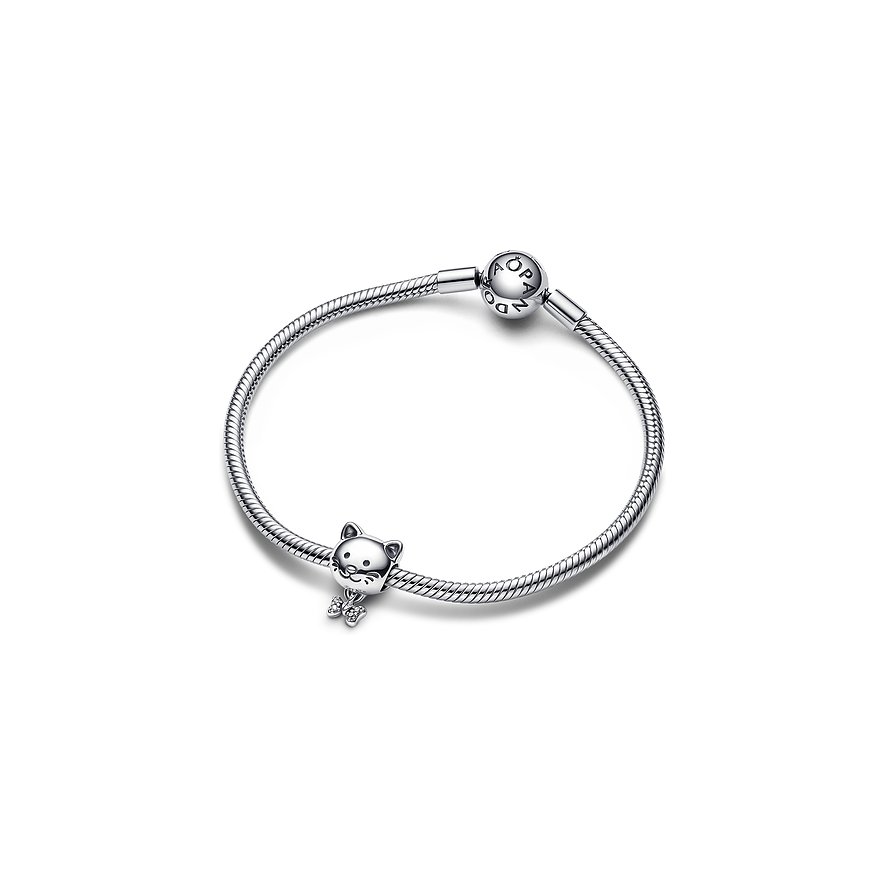 Pandora Charm Moments