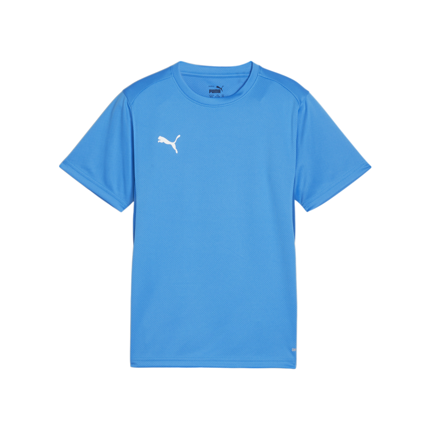 PUMA teamGOAL Trikot Kids Blau F02