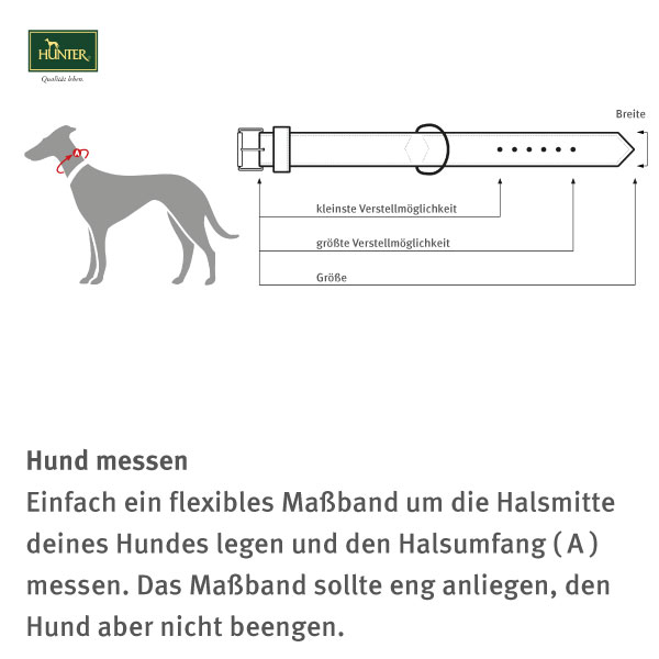 Hunter Neopren Reflect Halsband schwarz/grau kaufen bei ZooRoyal