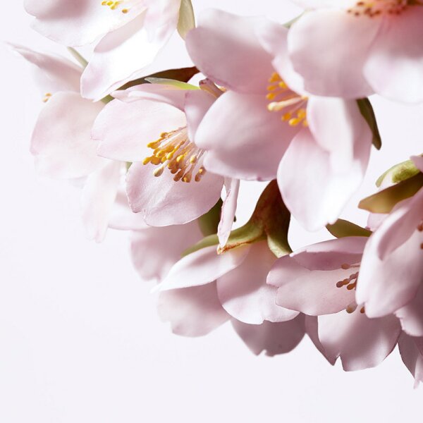 Shiseido White Lucent Illuminating Micro-S Serum Gesichtsserum