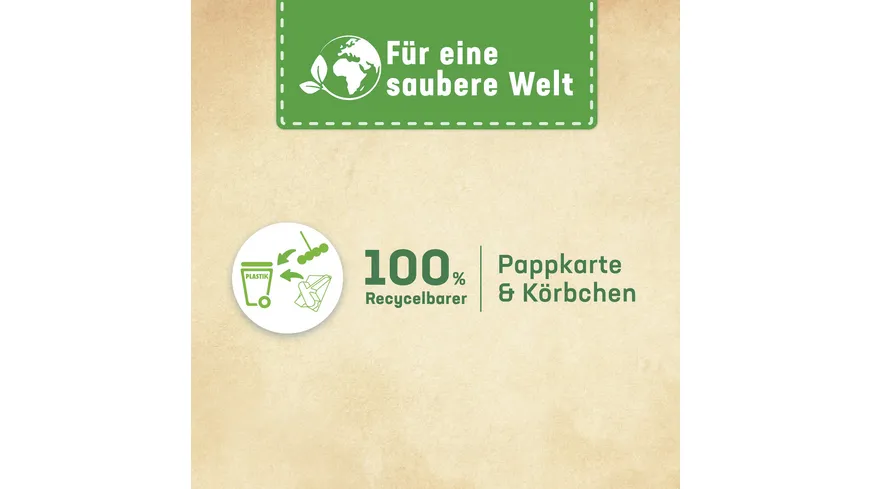 WC FRISCH Kraft-Aktiv Minze Eukalyptus