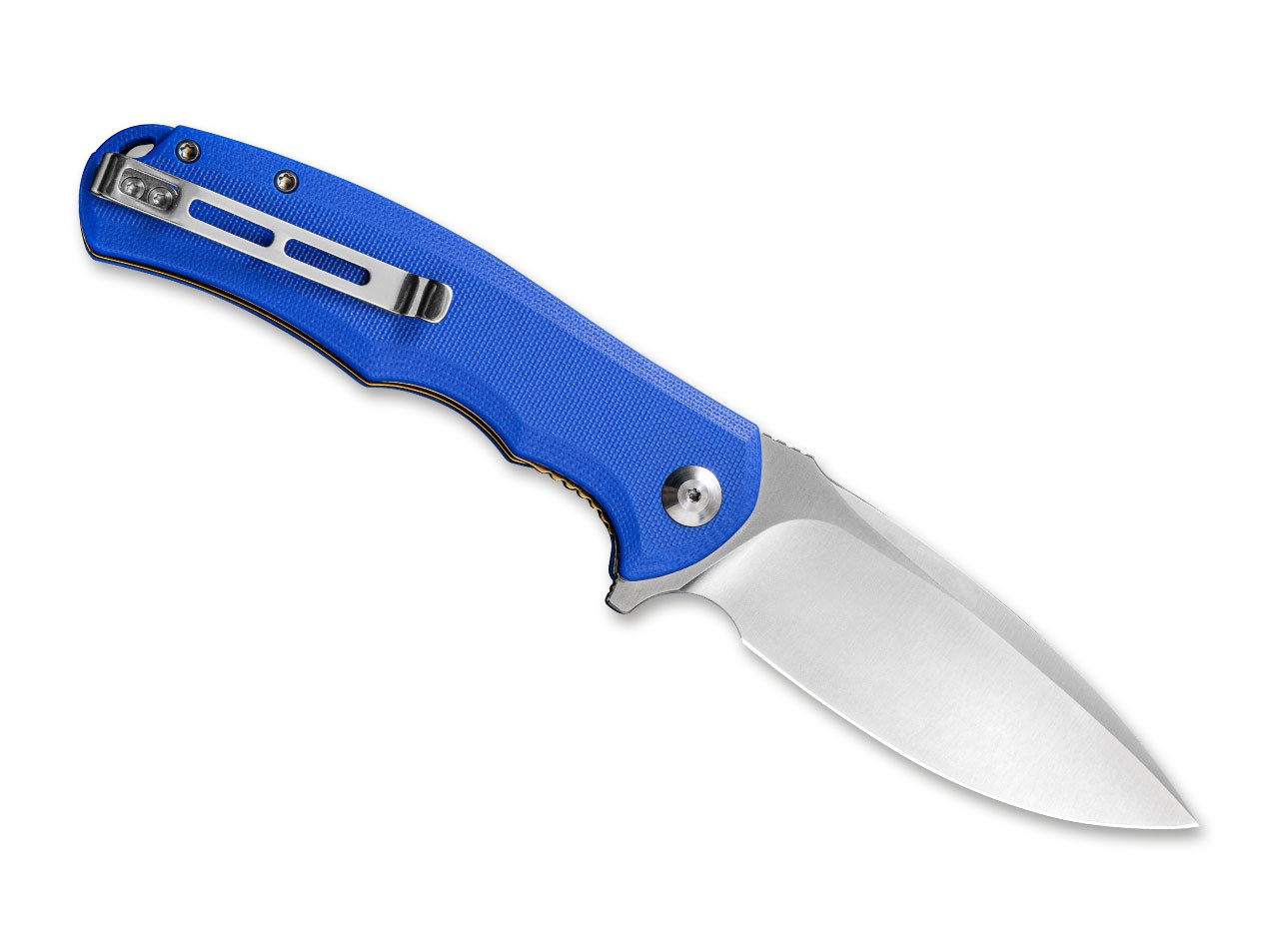 Praxis Blue