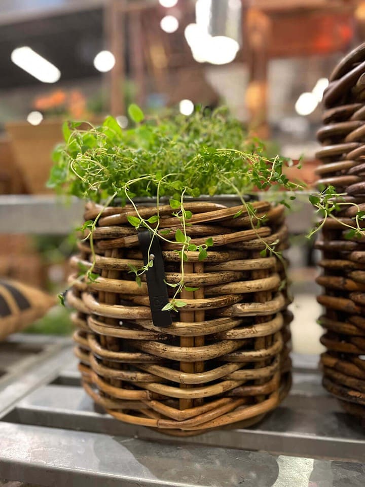 A2Living Rattan Korb MINI Rund Niedrig 32x24 günstig kaufen onesize