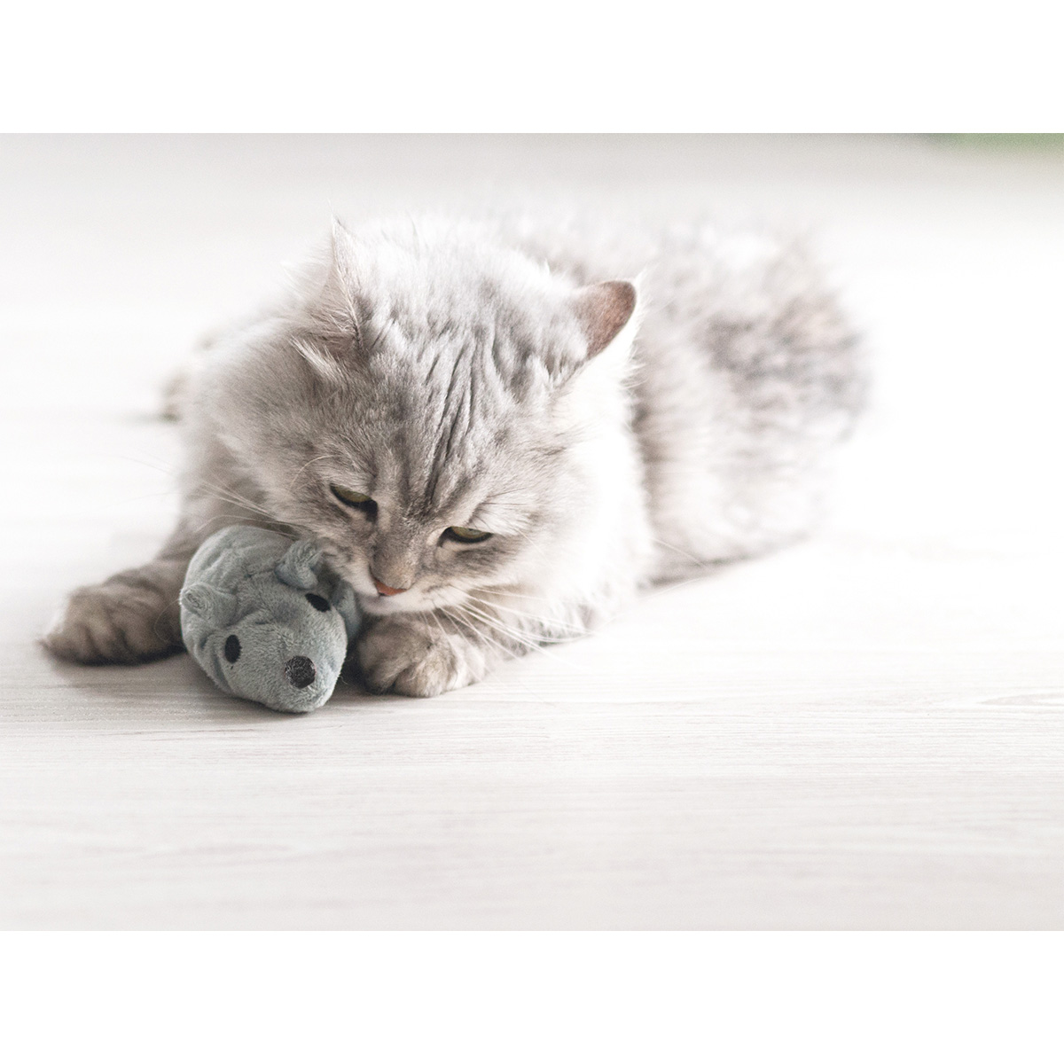 Aumüller Katzenspielkissen Baldi Maus günstig kaufen