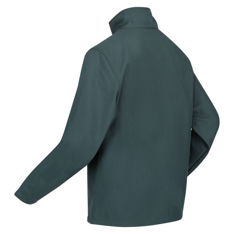 Regatta Cera V Softshelljacke Herren