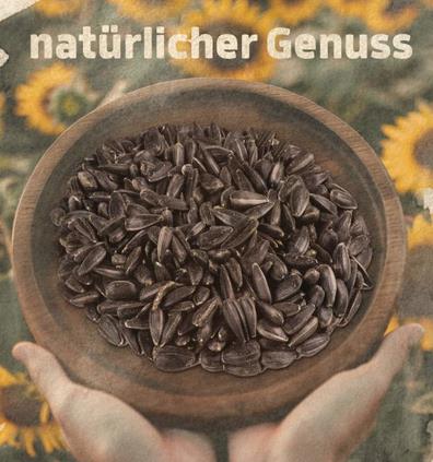 Good Cobs Sonnenblumenkerne, schwarz 20 KG