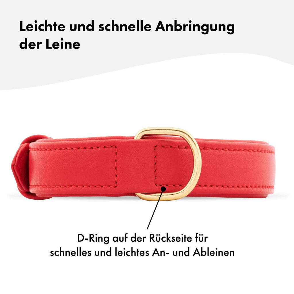 William Walker Hundehalsbänder William Walker Hundehalsband Plain Chili XXL