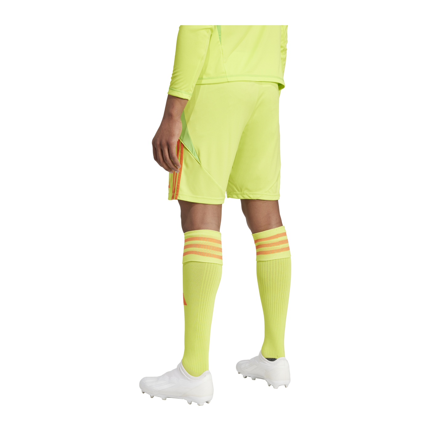 adidas Tiro 24 Short Gelb Orange