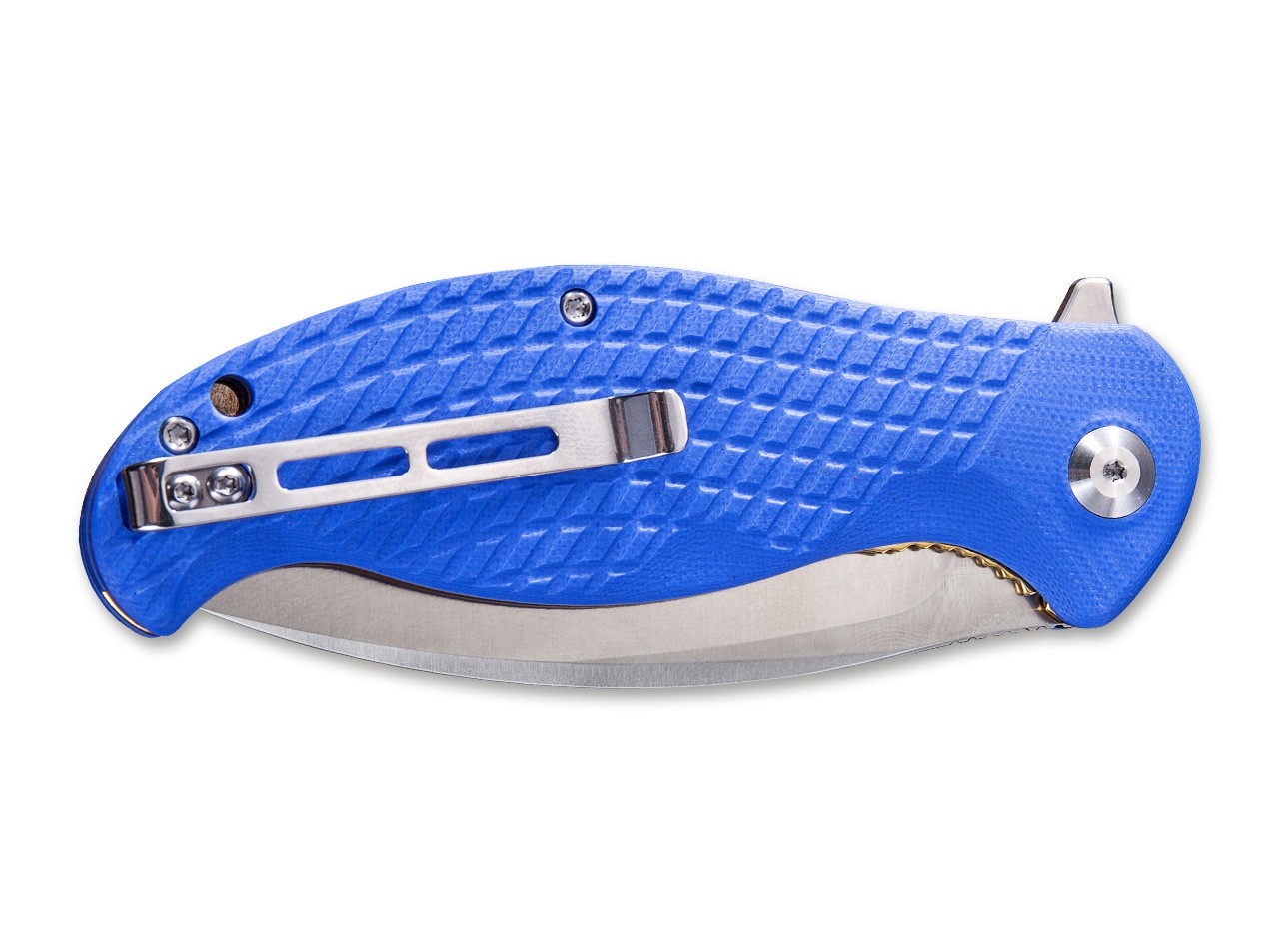 Naja Blue