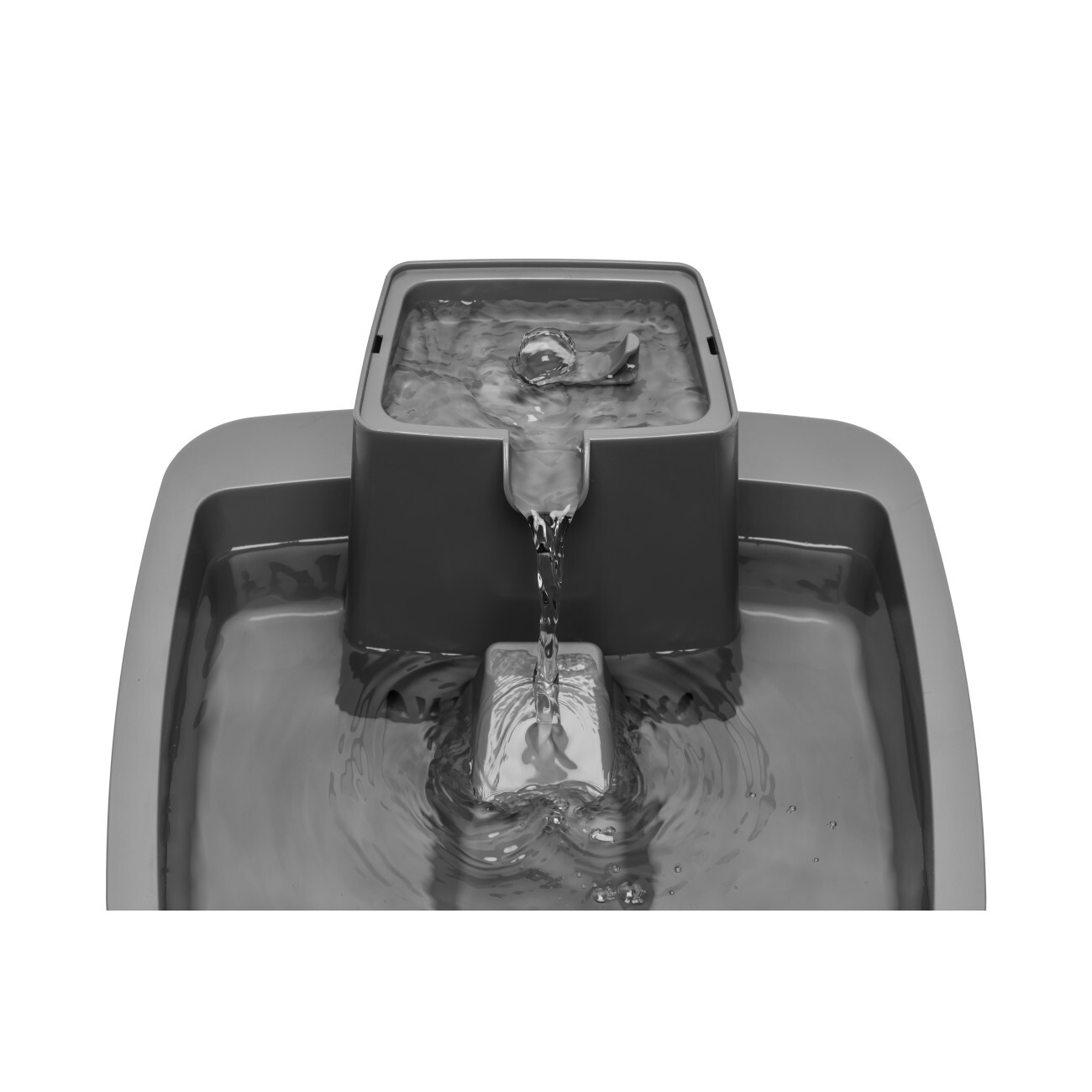 PetSafe Trinkbrunnen PetSafe Trinkbrunnen 3,7 l