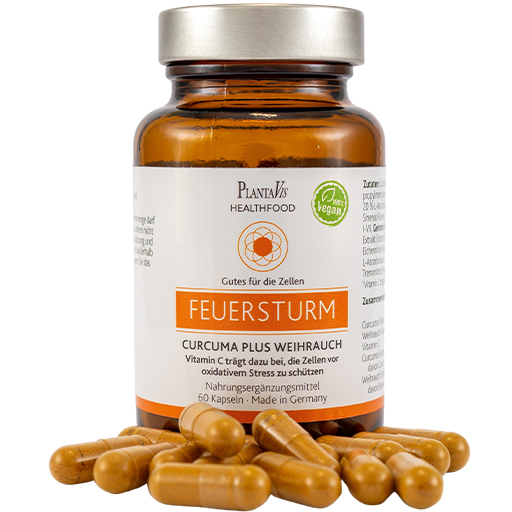 CURCUMA PLUS Weihrauch Kapseln  60 St  Kapseln