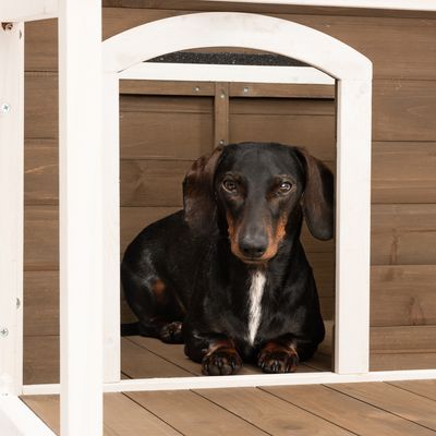 Hundehütte Doug