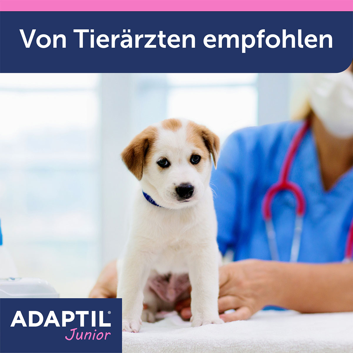 Adaptil Junior Halsband günstig kaufen bei ZooRoyal