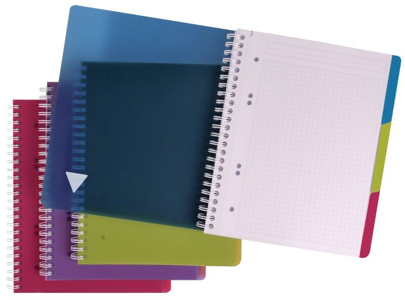Clairefontaine Notizbuch DIN A4  Kariert Spiralbindung PP (Polypropylen) Farbig sortiert 240 Seiten 120 Blatt