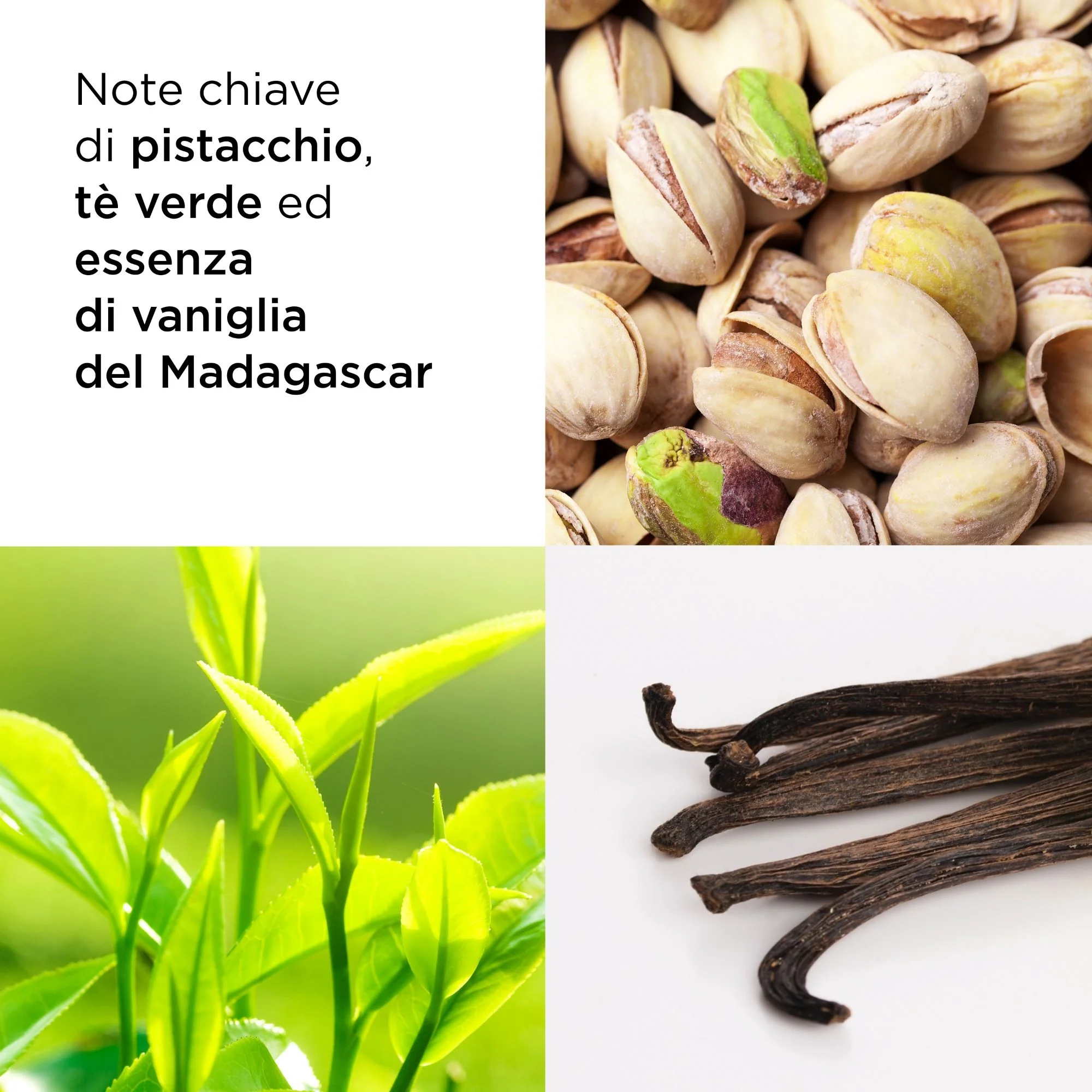 Green Tea Pistachio Crunch - Eau de Toilette