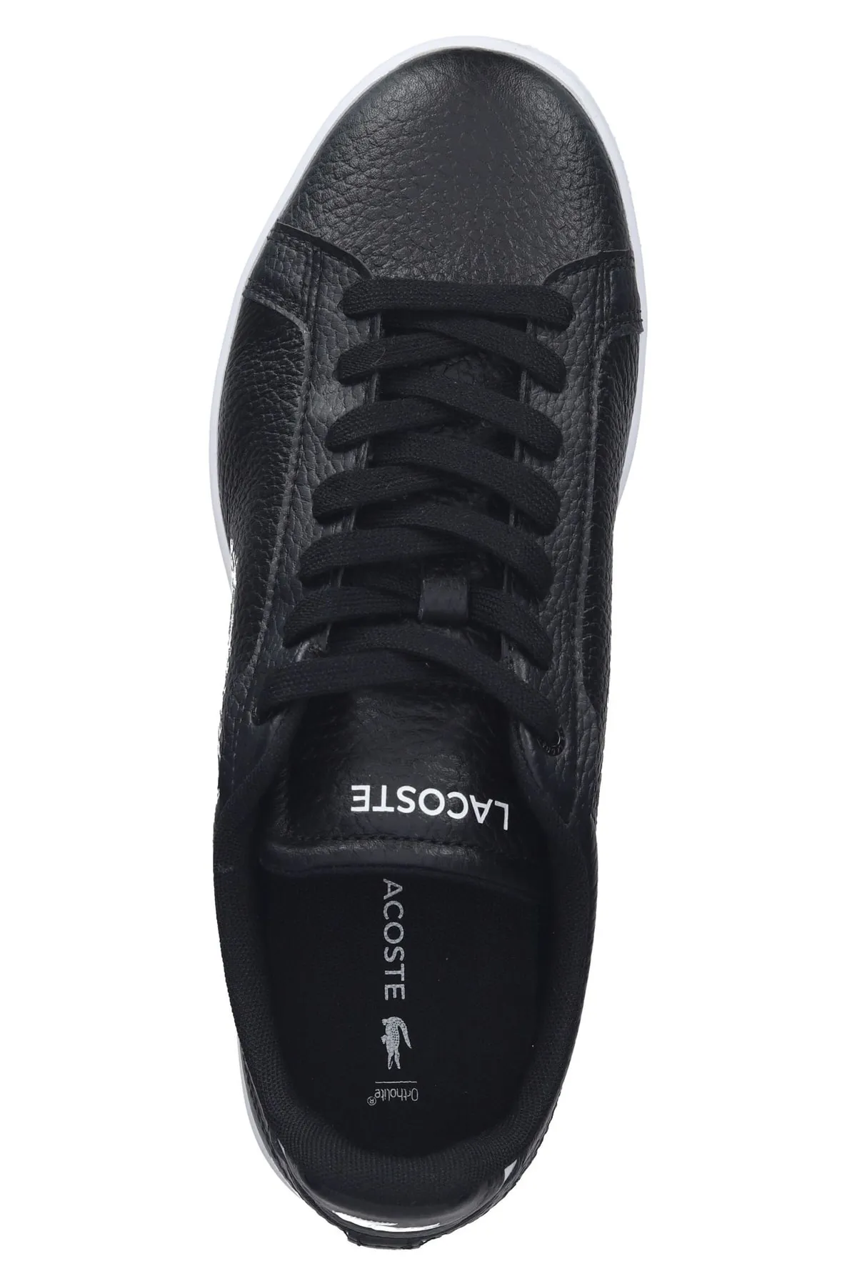 Lacoste  Sneaker - Schwarz - Flacher Absatz