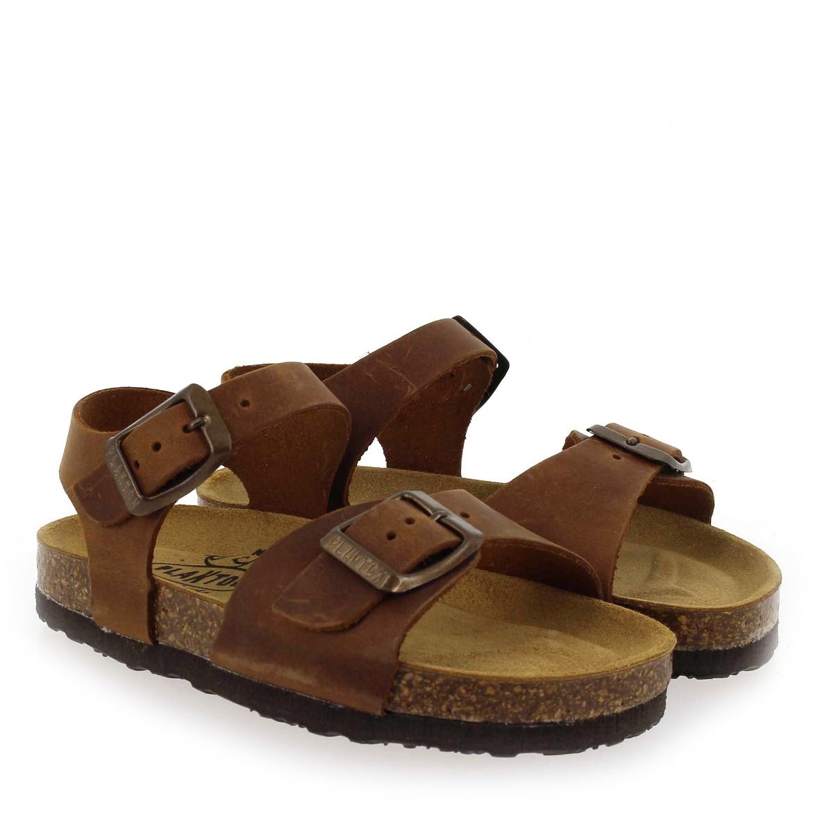 Plakton  LOUIS - Marron