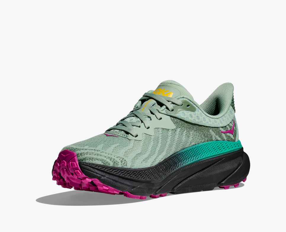 Challenger 7 Aloe Vera / Black