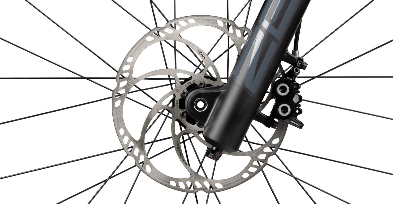 Radon Jab 9.0 kaufen | Bike-Discount