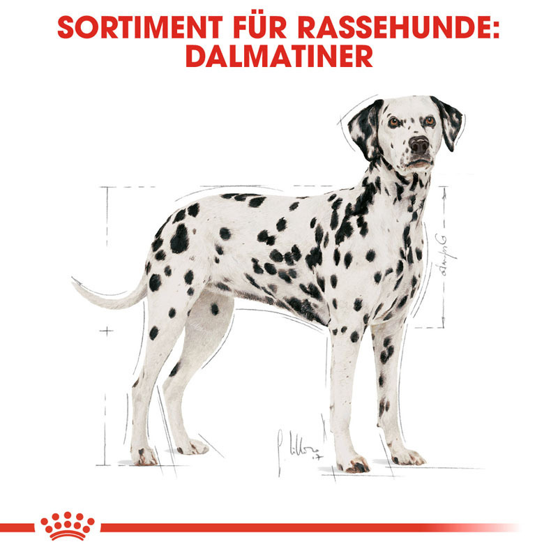 ROYAL CANIN Hundetrockenfutter ROYAL CANIN Dalmatian Adult 12 kg