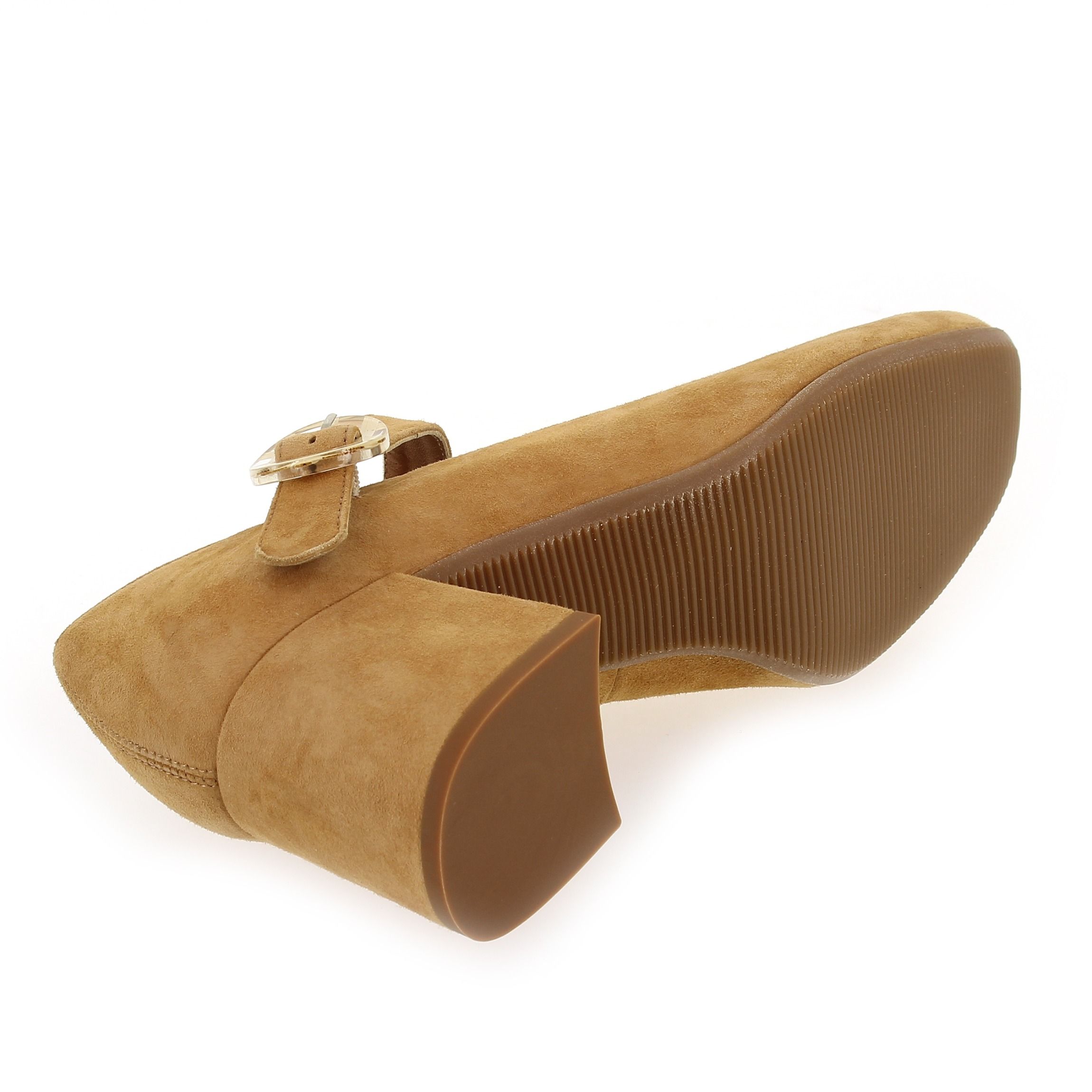 Reqins  GRETAGNE  - Camel