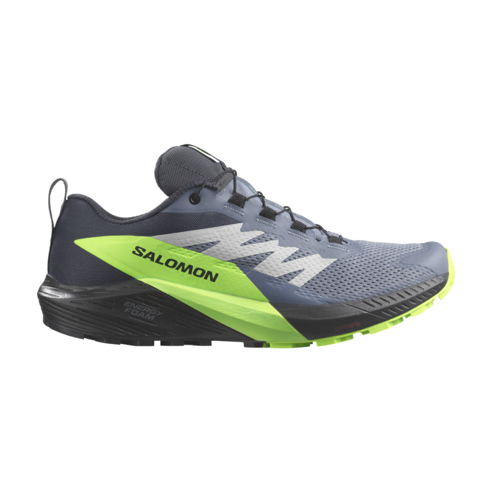 Salomon Sense Ride 5 GTX L47312800 / grau