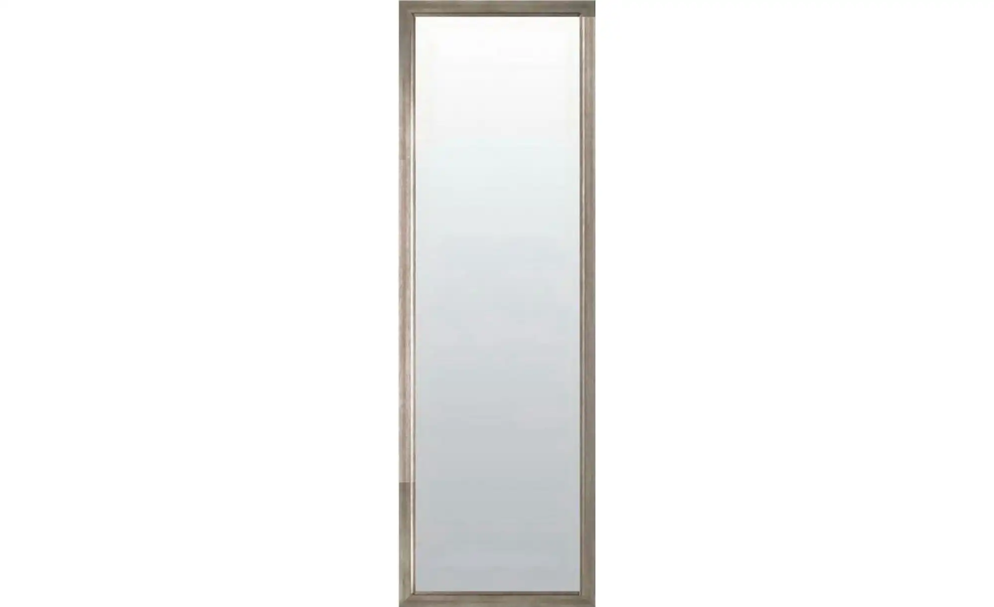 Spiegel 47 x 137 cm