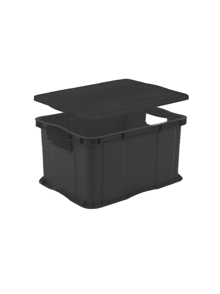 Rotho Systembox A4 mit Deckel AGILO günstig kaufen onesize