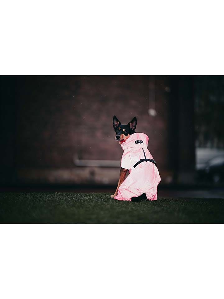 Paikka Visibility-Hunderegenmantel in Pink günstig kaufen
