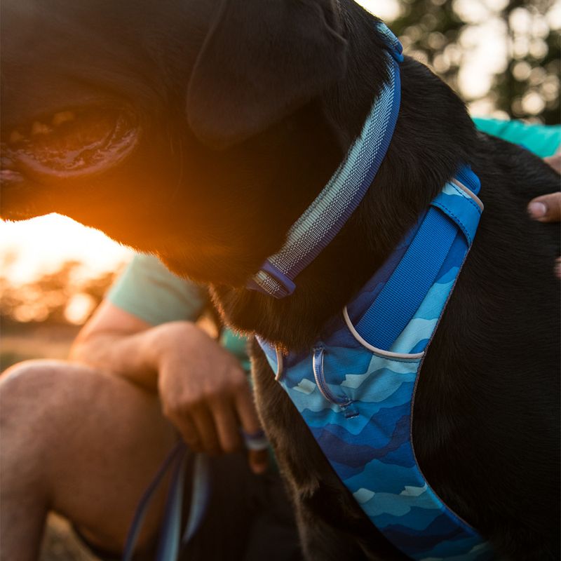 Ruffwear Front Range Hundegeschirr, Coastal Mountains | bitiba %