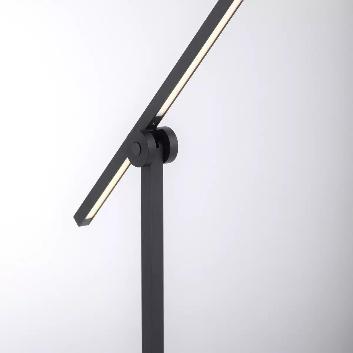 Paul Neuhaus LED Stehleuchte Pure-Grafo L Schwarz