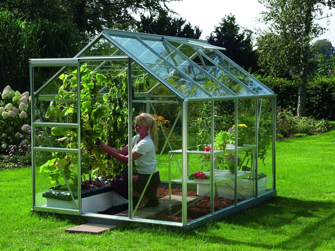 Vitavia Venus 5000 ESG 3mm