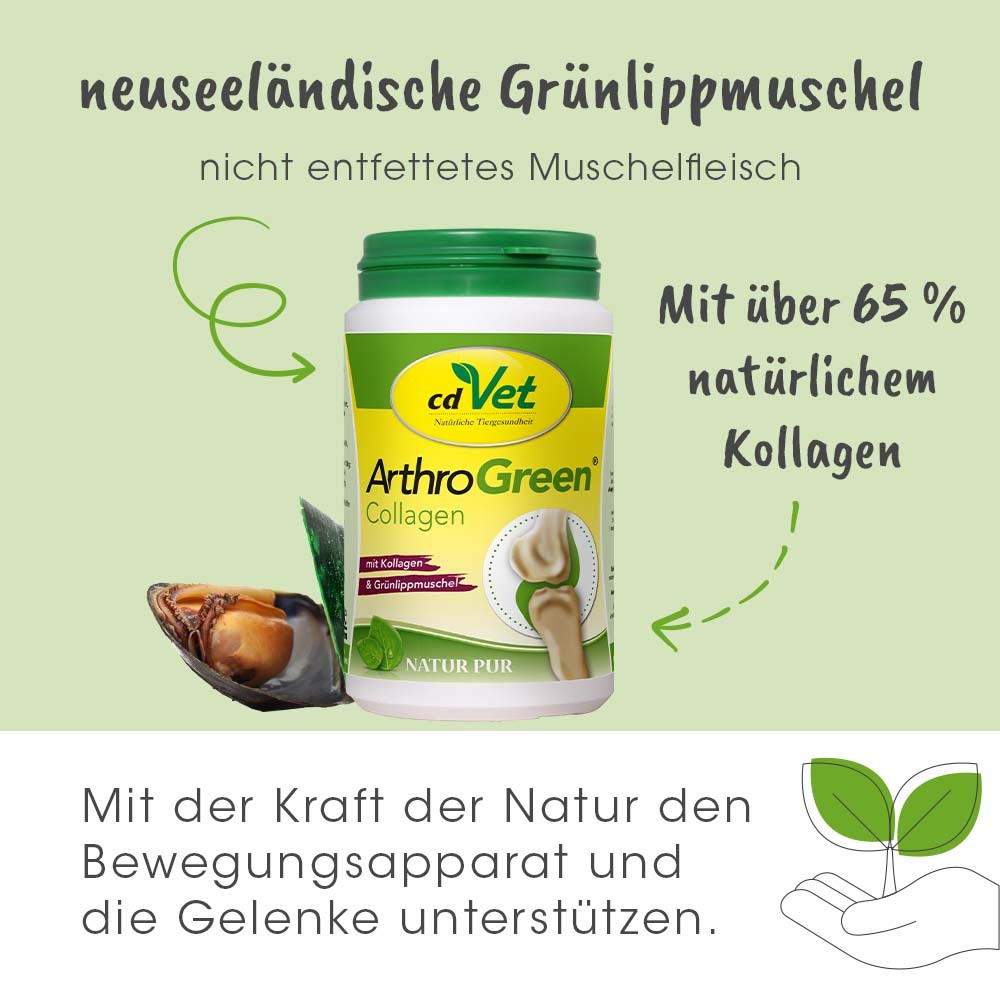 ArthroGreen Ergänzungsfutter & Aufzucht ArthroGreen Collagen 300 g
