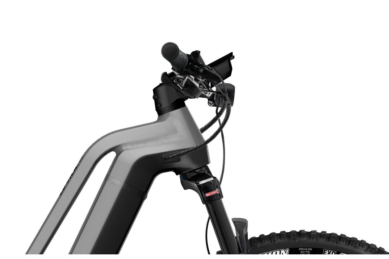 Flyer Uproc2 2.10 - 750 Wh - 2022 - 29 Zoll - Damen Sport