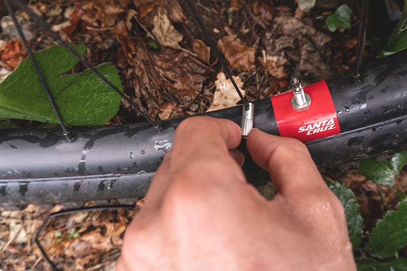 Peaty's Chris King MK2 Tubeless 60mm Ventile kaufen | Bike-Discount