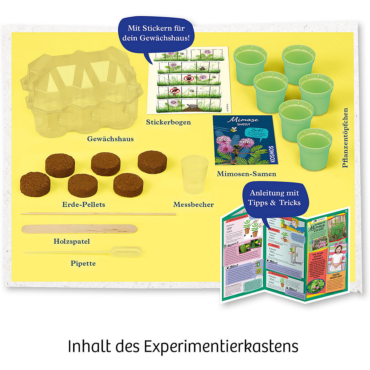 Mitbringexperiment Mimosen-Garten - Alarm auf deiner Fensterbank