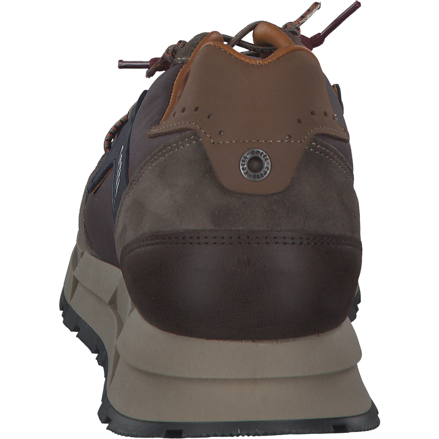 Cetti C1327 EXP, Klassische- & Business Schuhe, Herren, Braun