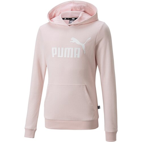 KINDER SWEATSHIRT ESS LOGO HOODIE TR G