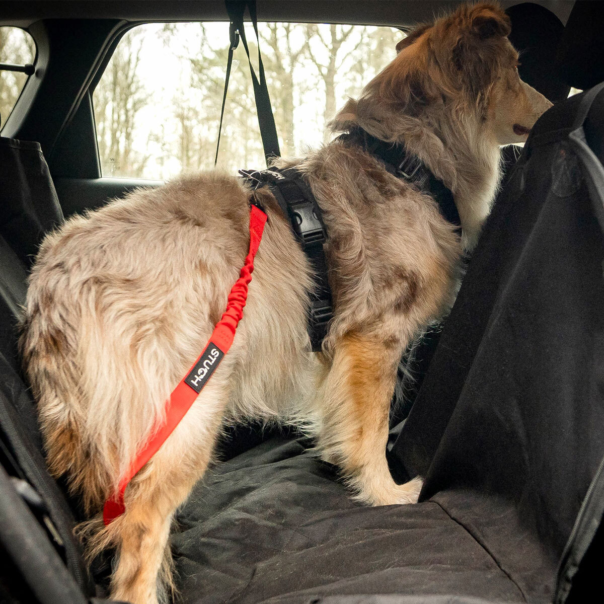 STUCH Autozubehör STUCH Universeller Bungee Autogurt für Hunde & Katzen rot