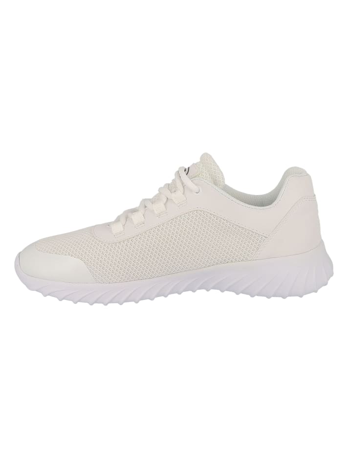 Tom Tailor Sneaker low in Weiß günstig kaufen